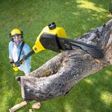 Best Tree Mulching  in Arthurdale, WV